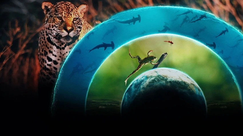 Download Our Living World | 2024 | Season 1 | {Hindi-English-} | Web Series | 480p 720p 1080p | HDMoviesHub
