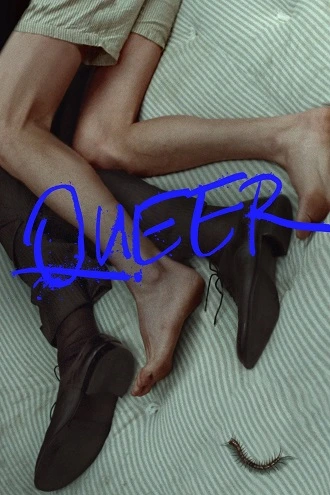 Download Queer | 2024 | English With Subtitles | 480p 720p 1080p