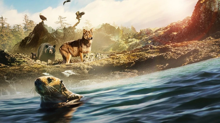Download Island of the Sea Wolves | 2022 | Season 1 | Dual Audio | Hindi-English | Netflix Original Web Series | 480p 720p 1080p | HDMoviesHub