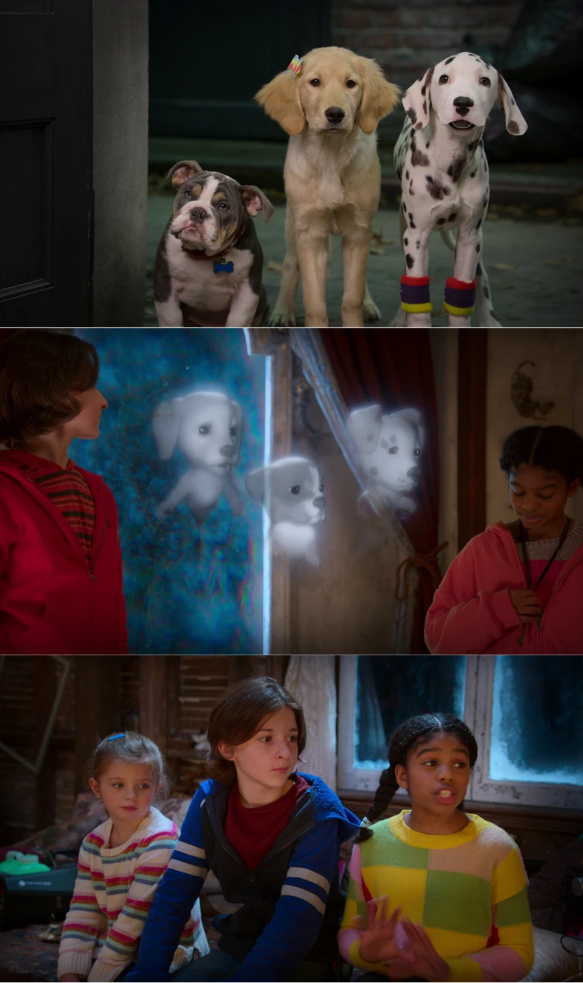 Download Phantom Pups | 2022 | Season 1 | {Hindi-English-} | Web Series | 480p 720p 1080p | HDMoviesHub