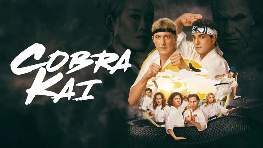 Download Cobra Kai | 2022 | Season 1 | Hindi | Netflix Original WEB Series  | 480p 720p 1080p | HDMoviesHub